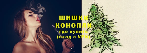 мдпв Володарск