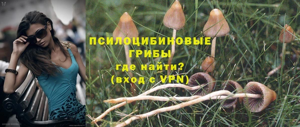 мдпв Володарск