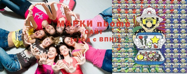 мдпв Володарск